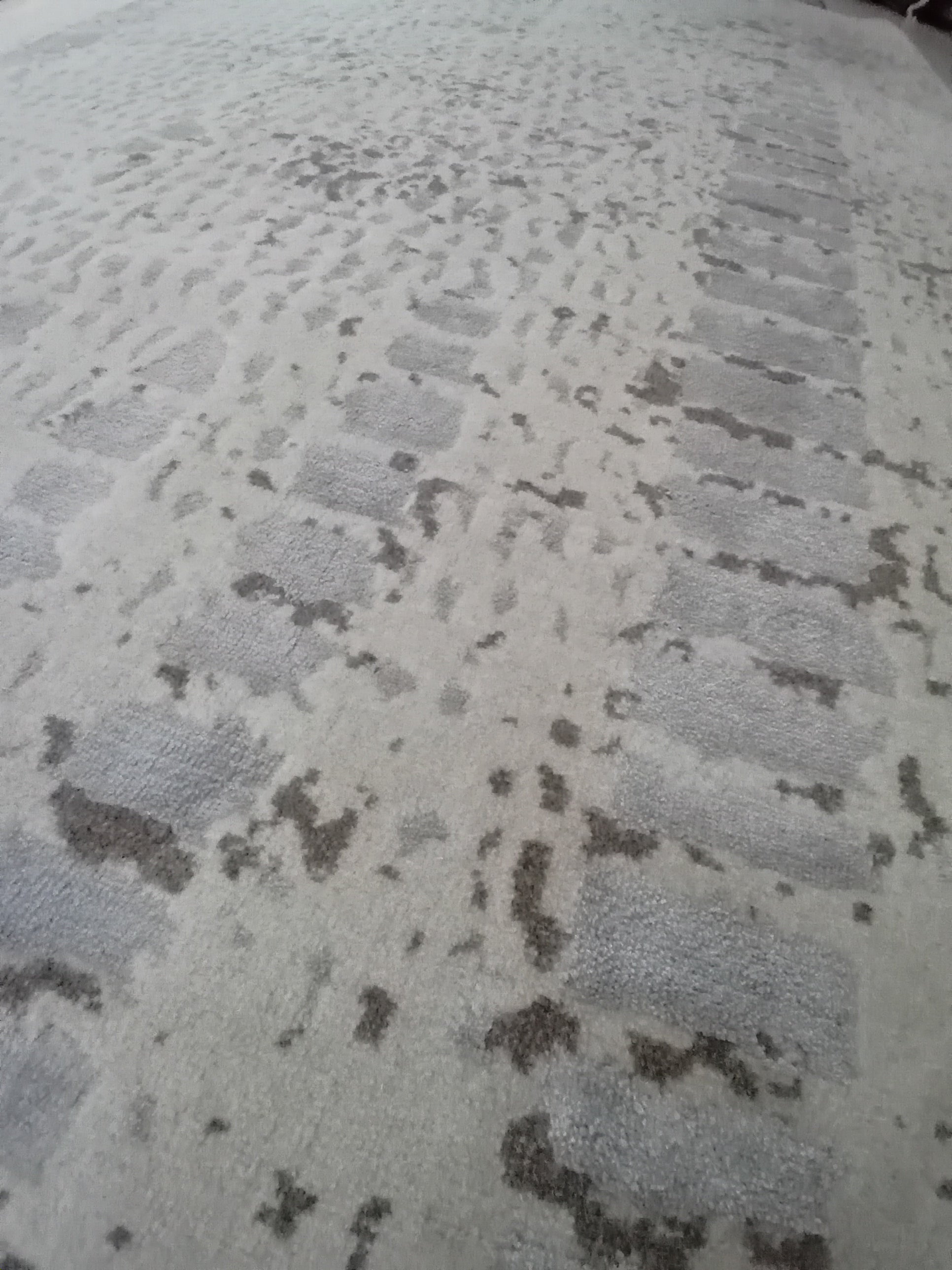 Tappeto Handloom in Lana e Seta e cotone 239x170