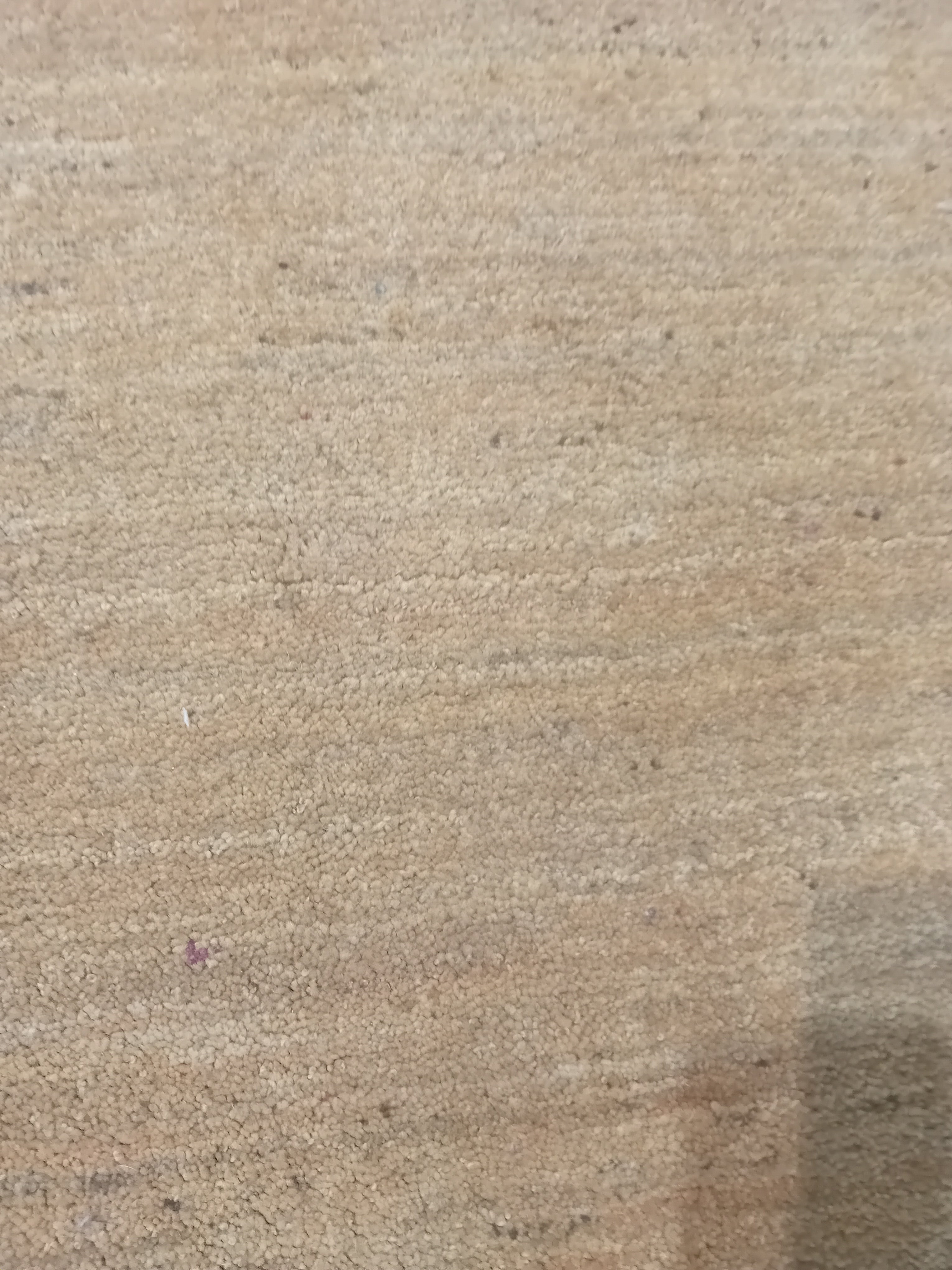 Tappeto Handloom in Seta 155x102 cm