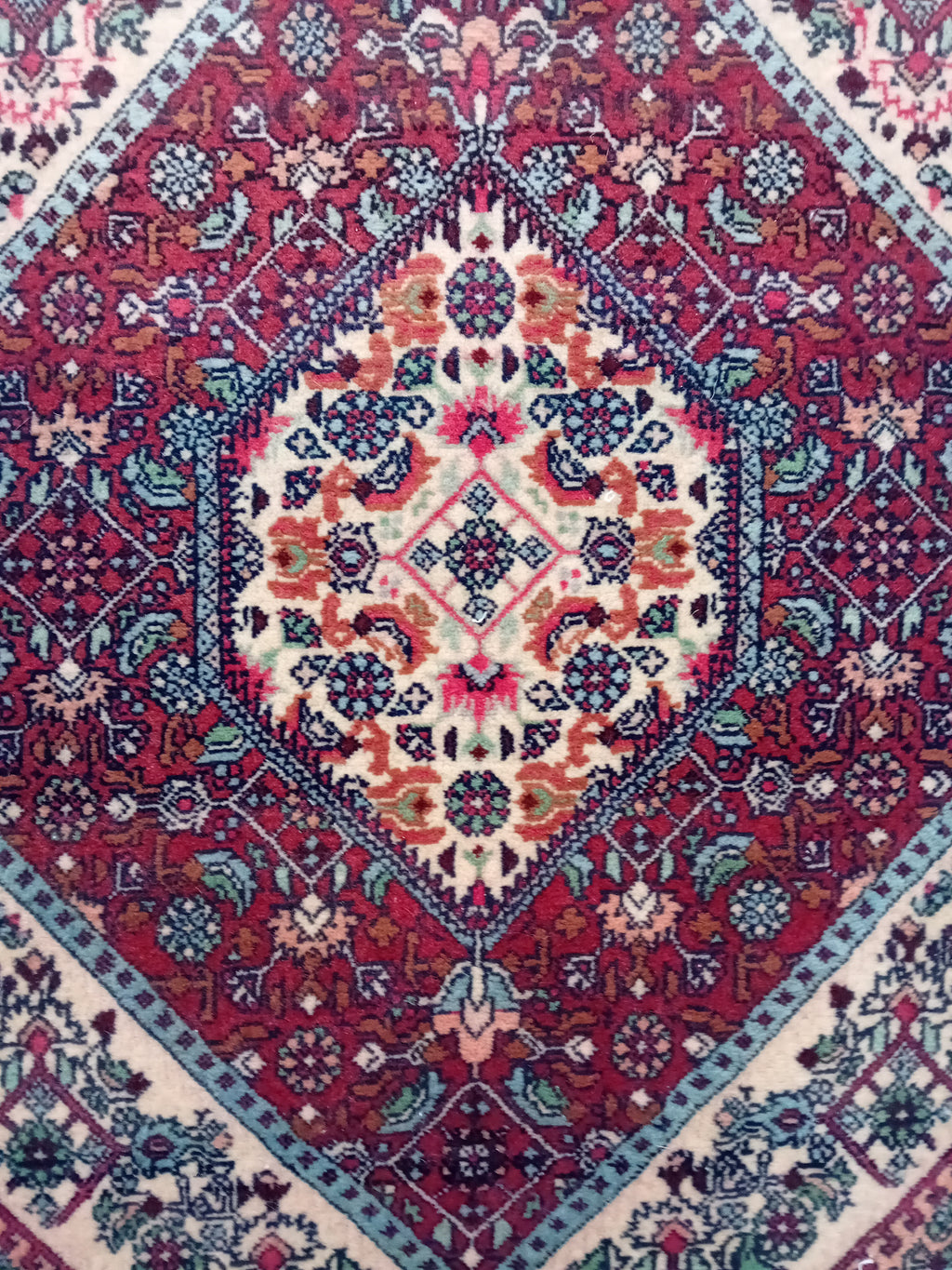 Tappeto Bijar 183x180 cm in Lana e Cotone