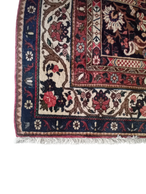 Tappeto Bakhtiar in Lana e Cotone 193×134 cm
